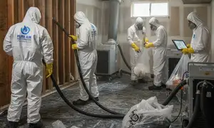 Mold remediation widget for water damage services in Stockton, CA